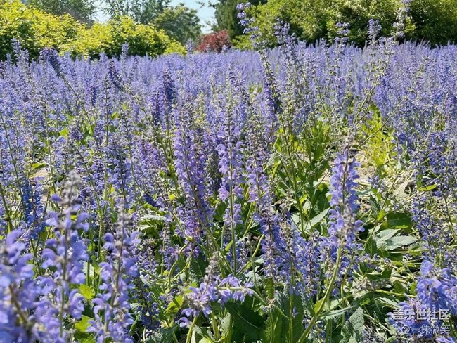 【你好夏天】收集夏天的浪漫