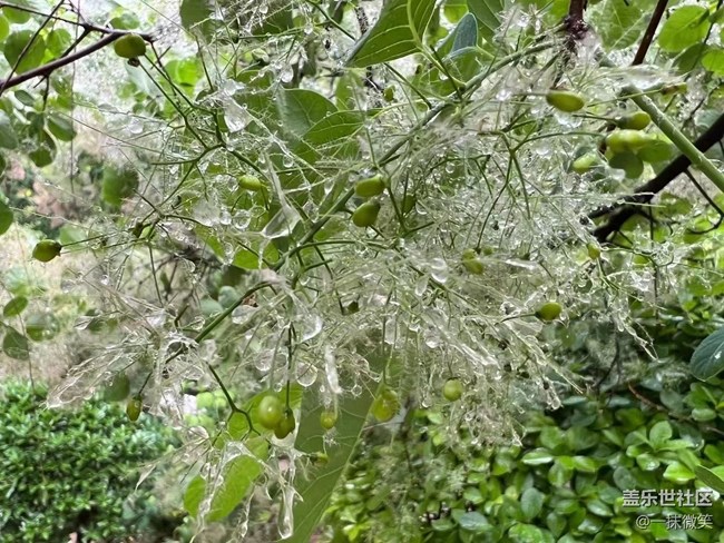 【你好夏天】收集夏天的浪漫