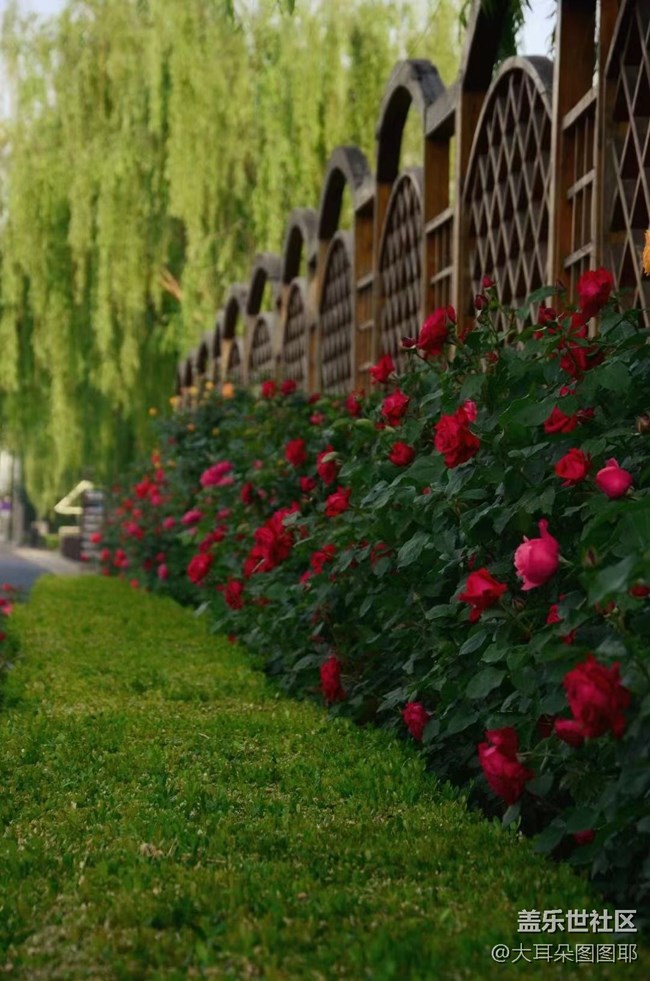 【你好夏天】夏日溫柔