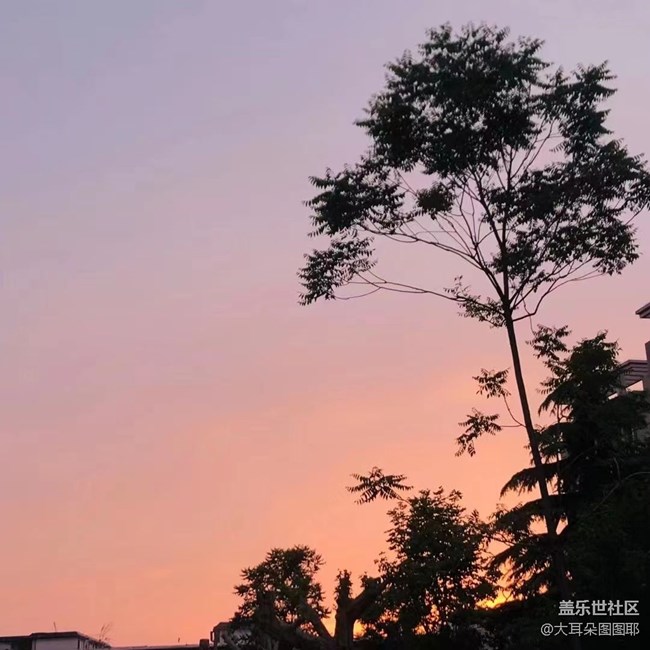 【你好夏天】夏日溫柔