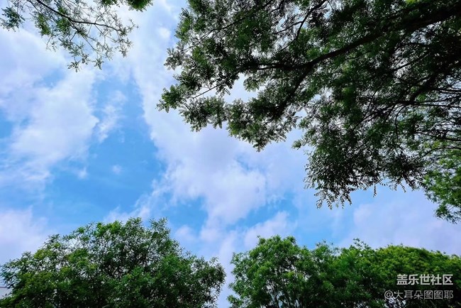 【你好夏天】夏日溫柔