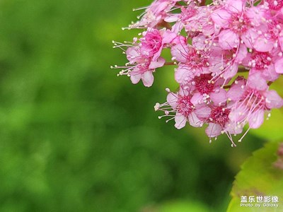 我的第300貼