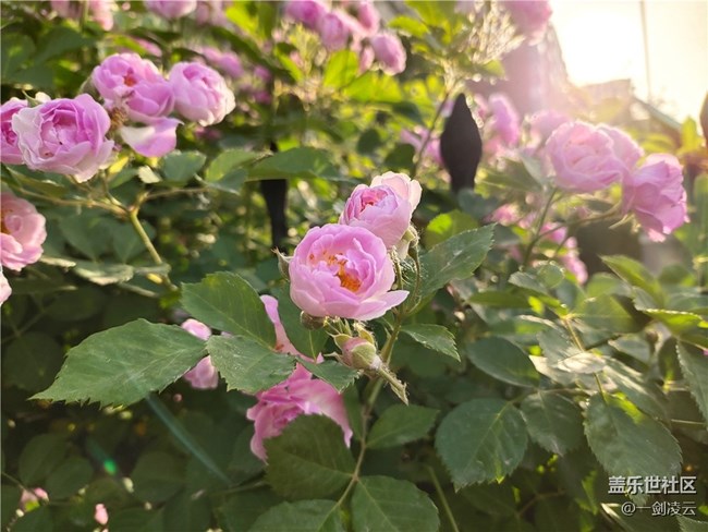 【你好夏天】這個夏天的別樣風光