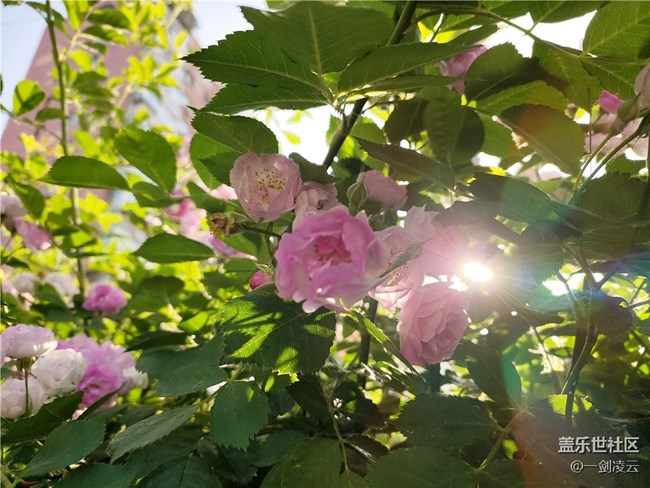 【你好夏天】這個夏天的別樣風光
