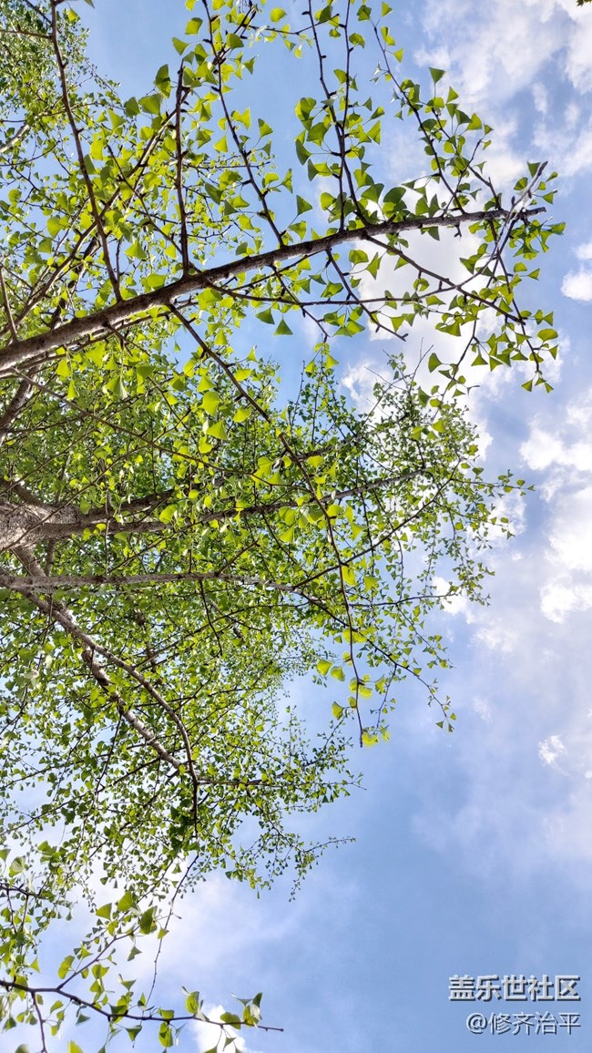 【你好夏天】綠樹(shù)成蔭，草長(zhǎng)鶯飛