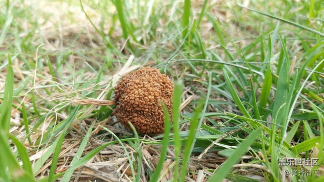 【你好夏天】綠樹(shù)成蔭，草長(zhǎng)鶯飛