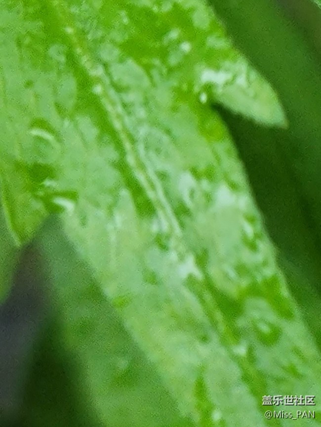 #五月，你好——雨露