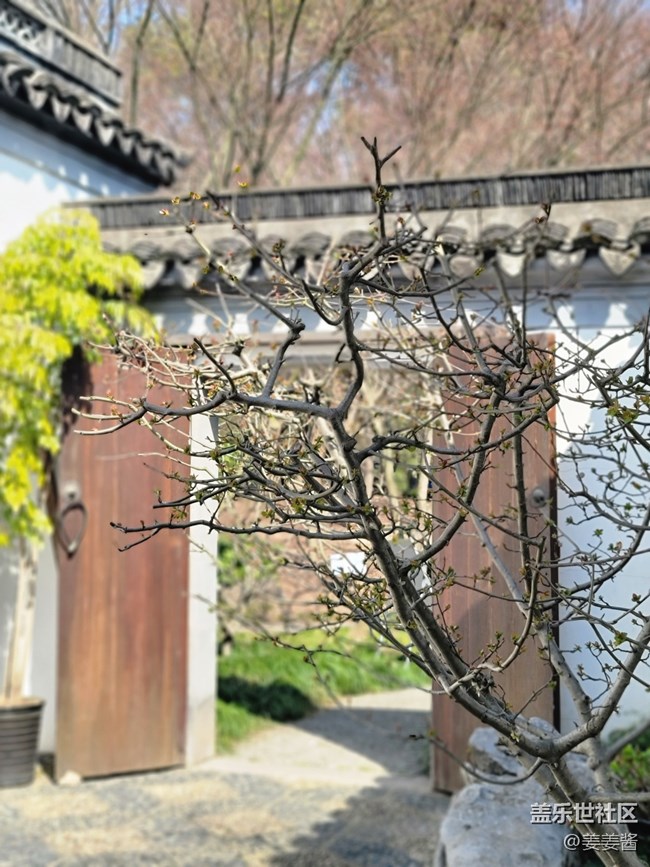 #五月，你好——逛公園