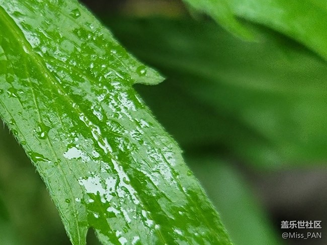 #五月，你好——雨露