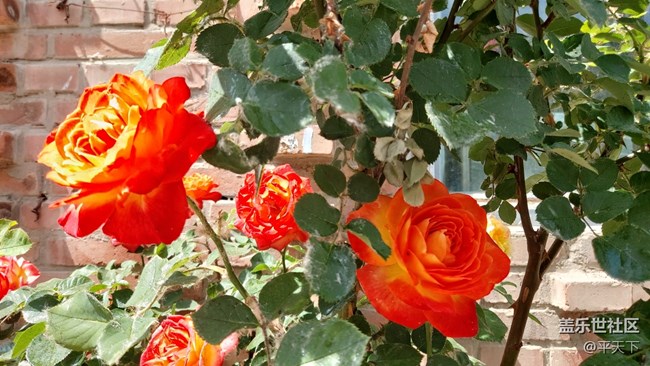 【你好夏天】天上人間