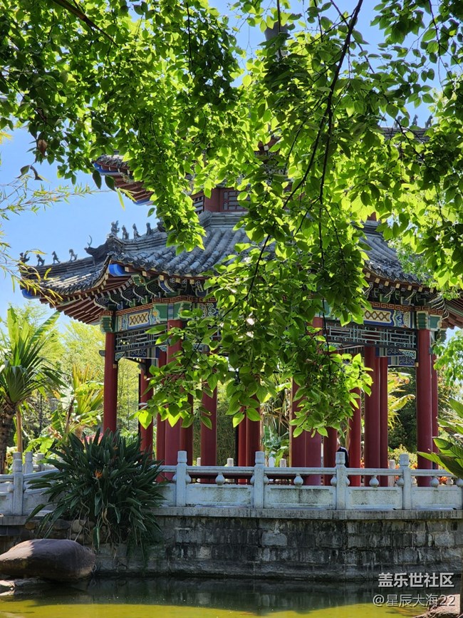 五月，你好——綠葉繁花