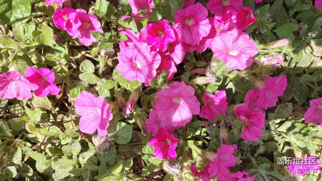 【你好夏天】天上人間