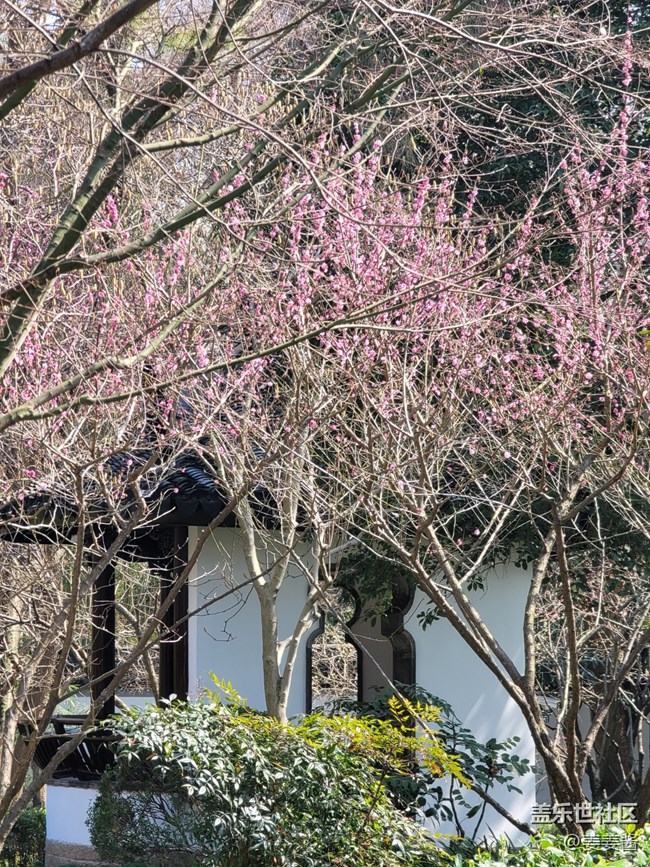 #五月，你好——逛公園
