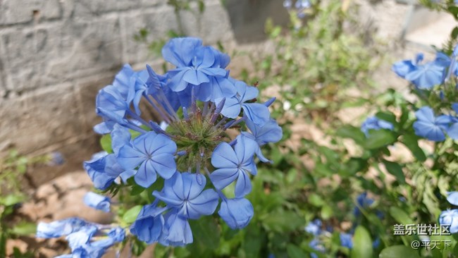 【你好夏天】天上人間