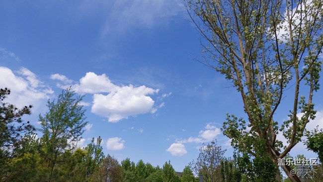 【你好夏天】天上人間