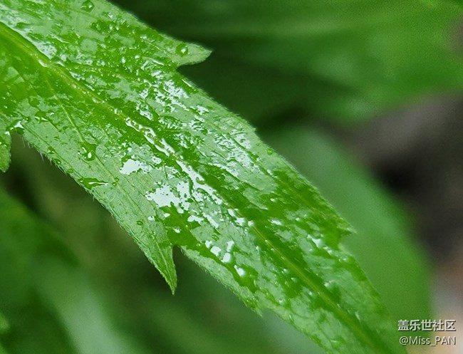 #五月，你好——雨露