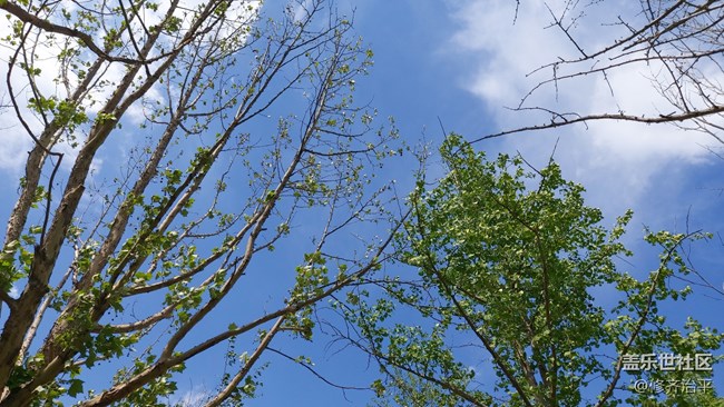 【你好夏天】綠樹(shù)成蔭，草長(zhǎng)鶯飛