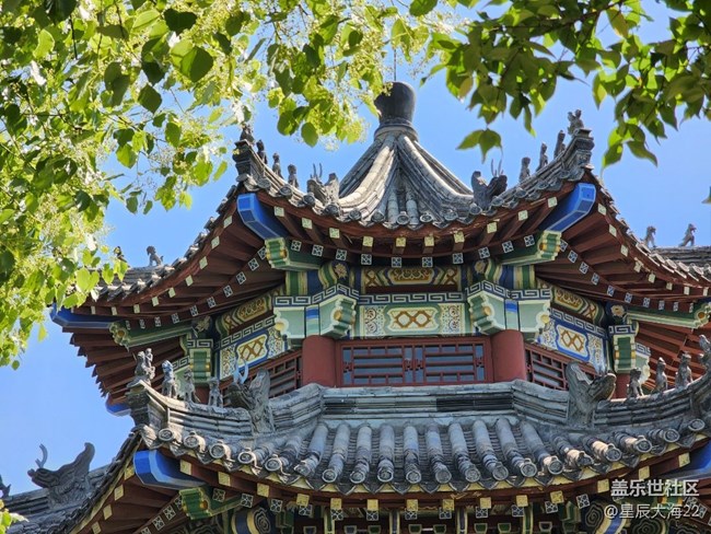 五月，你好——綠葉繁花