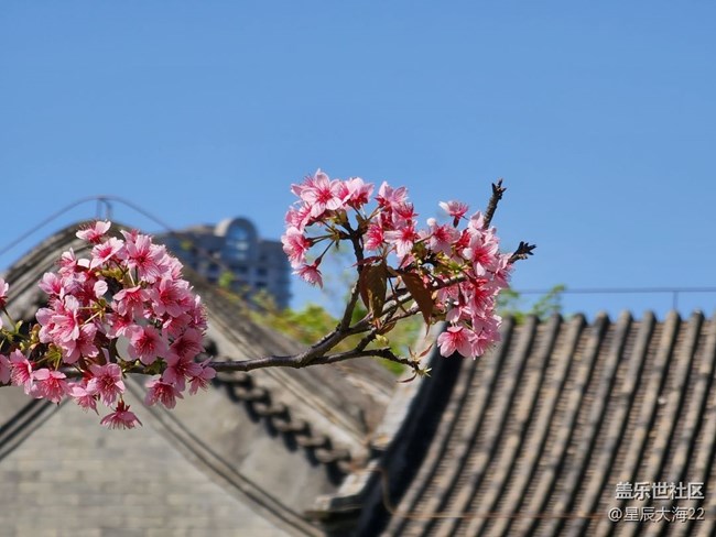 五月，你好——綠葉繁花