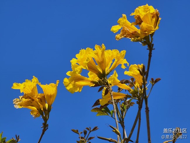 五月，你好——綠葉繁花