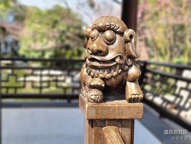 #五月，你好——逛公園