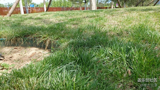 【你好夏天】綠樹(shù)成蔭，草長(zhǎng)鶯飛