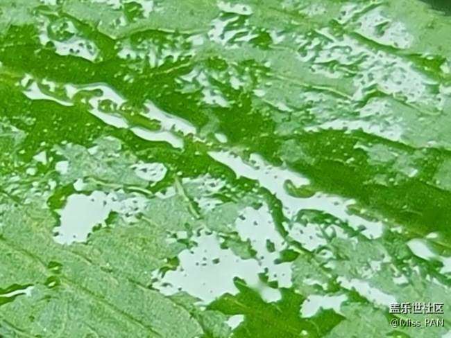 #五月，你好——雨露