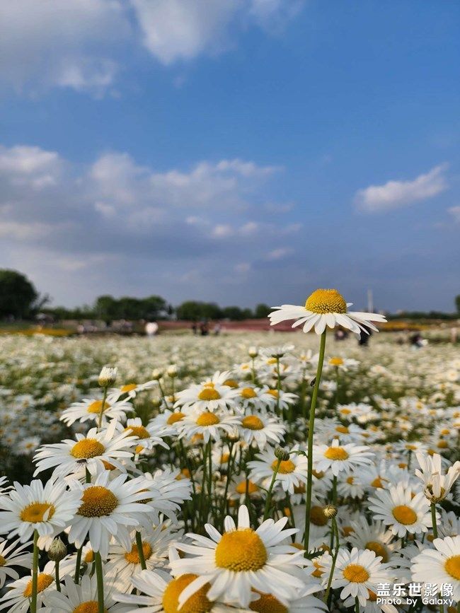 《每周星鮮事》 第104期: 《每周星鮮事》 第104期: