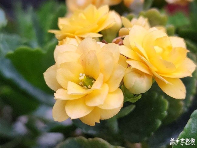 《每周星鮮事》 第104期: 《每周星鮮事》 第104期: