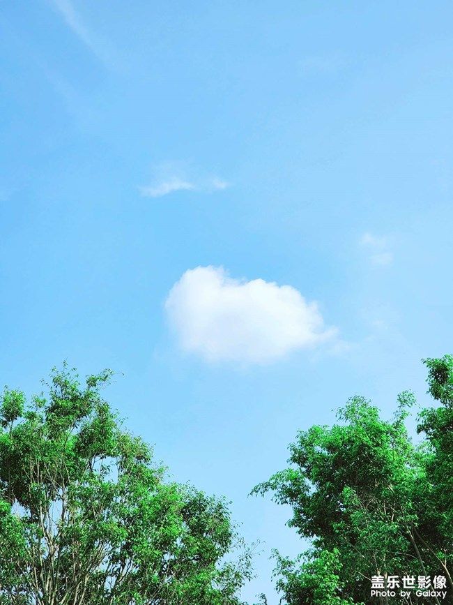 《每周星鮮事》 第104期: 《每周星鮮事》 第104期: