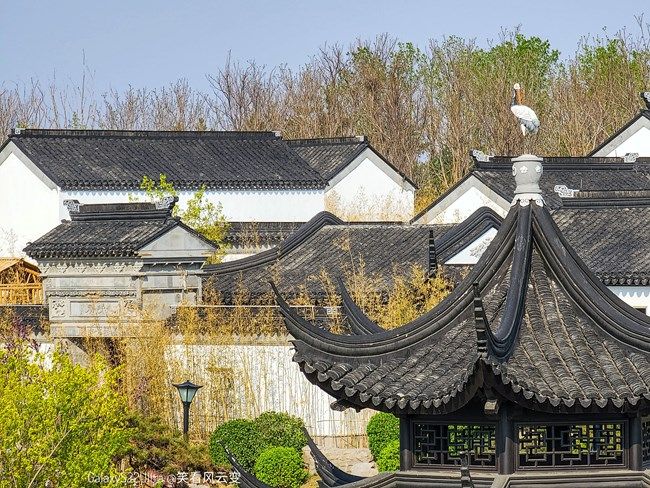 《每周星鮮事》 第104期:周年回饋 感恩有你 《每周星鮮事》 第104期:周年回饋 感恩有你