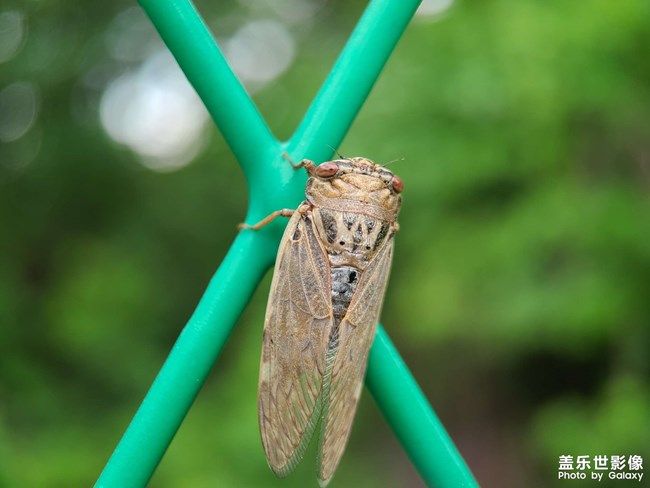 《每周星鮮事》 第104期:周年回饋 感恩有你 《每周星鮮事》 第104期:周年回饋 感恩有你