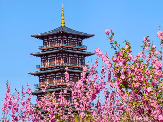 《每周星鮮事》 第104期: 《每周星鮮事》 第104期: