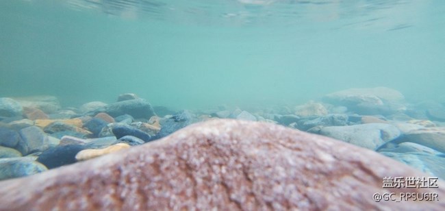 【溫暖前行】帶著我的Galaxy S10＋一起去水底游玩