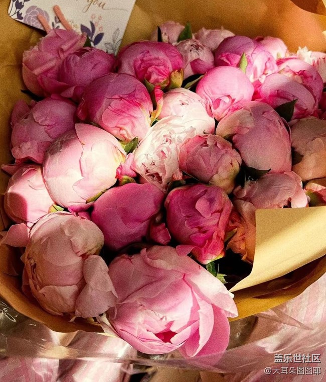 #五月，你好——萬物美好