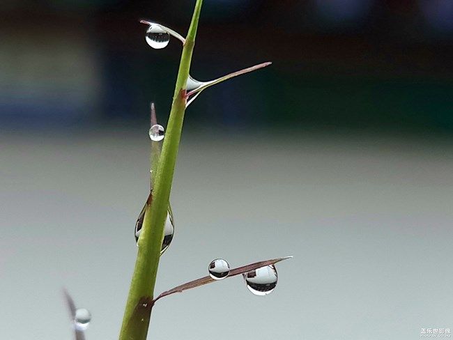 《每周星鮮事》 第104期: 《每周星鮮事》 第104期: