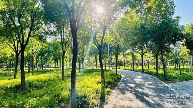 #五月，你好——萬物美好