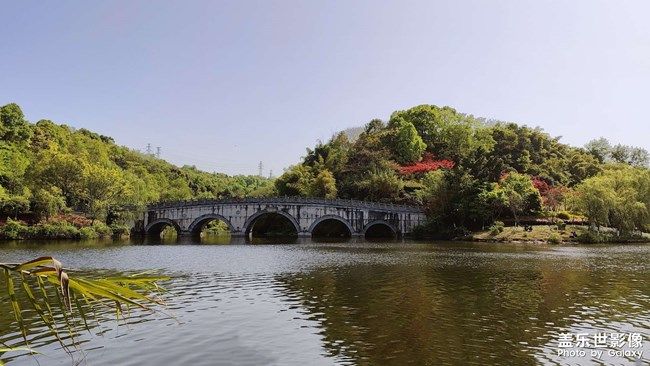 《每周星鮮事》 第104期: 《每周星鮮事》 第104期: