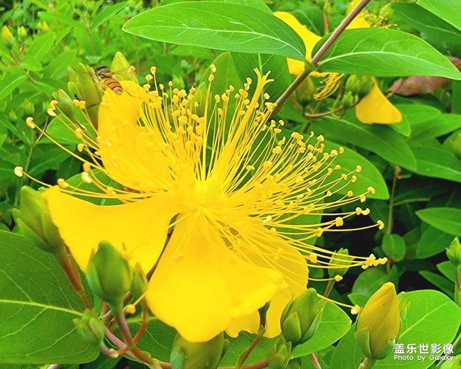 《每周星鮮事》 第104期:周年回饋 感恩有你 《每周星鮮事》 第104期:周年回饋 感恩有你