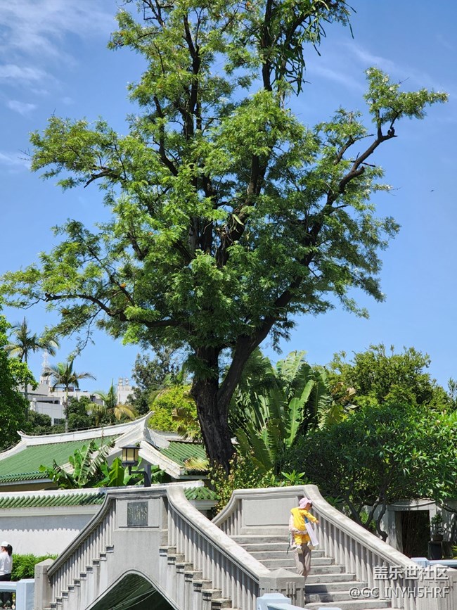 五月，你好——五月的天