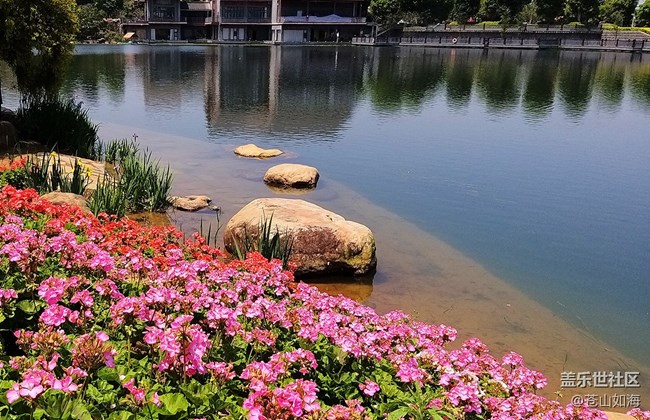 [溫暖前行]青秀景色