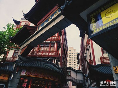 隨手拍