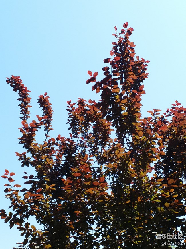 【你好夏天】+感謝大白