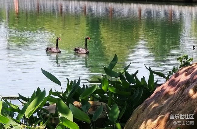 [溫暖前行]青秀景色