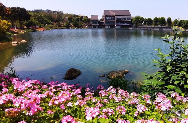 [溫暖前行]青秀景色