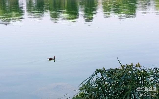 [溫暖前行]青秀景色