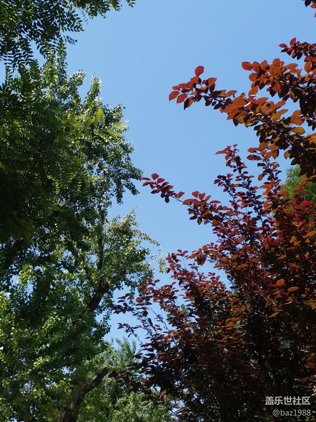 【你好夏天】+感謝大白