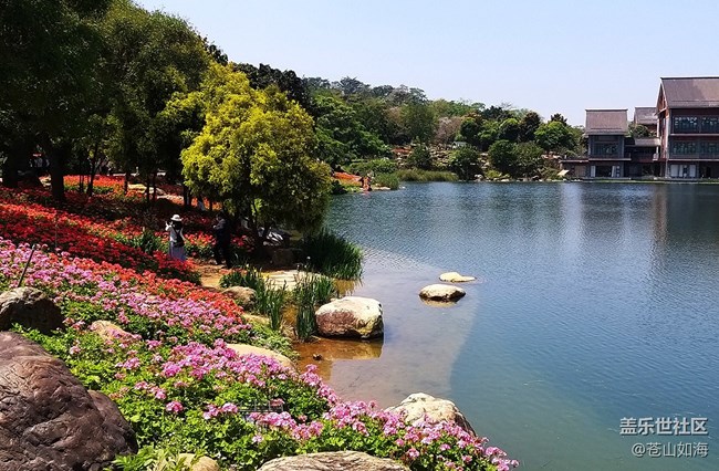 [溫暖前行]青秀景色