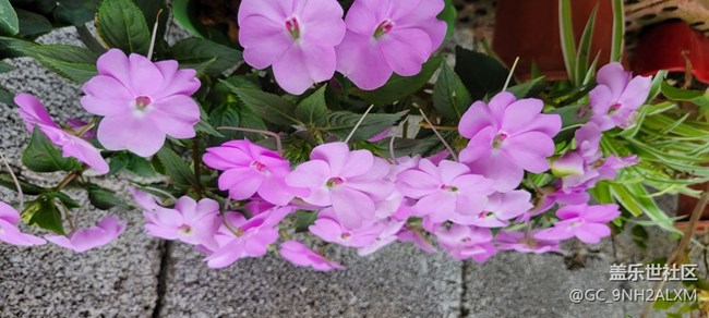 關于S21+下水的事