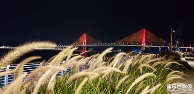 夜游潮人碼頭